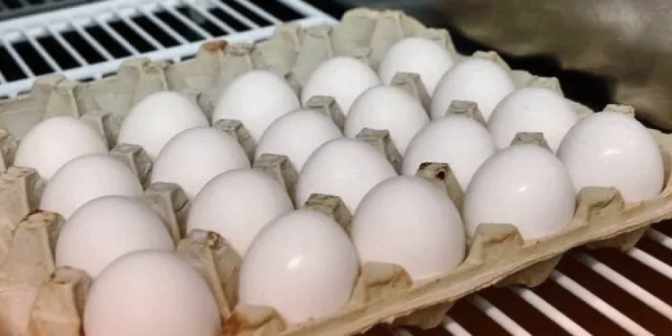 Llevarán Jornada de Salud al noroeste de Ciudad Obregón